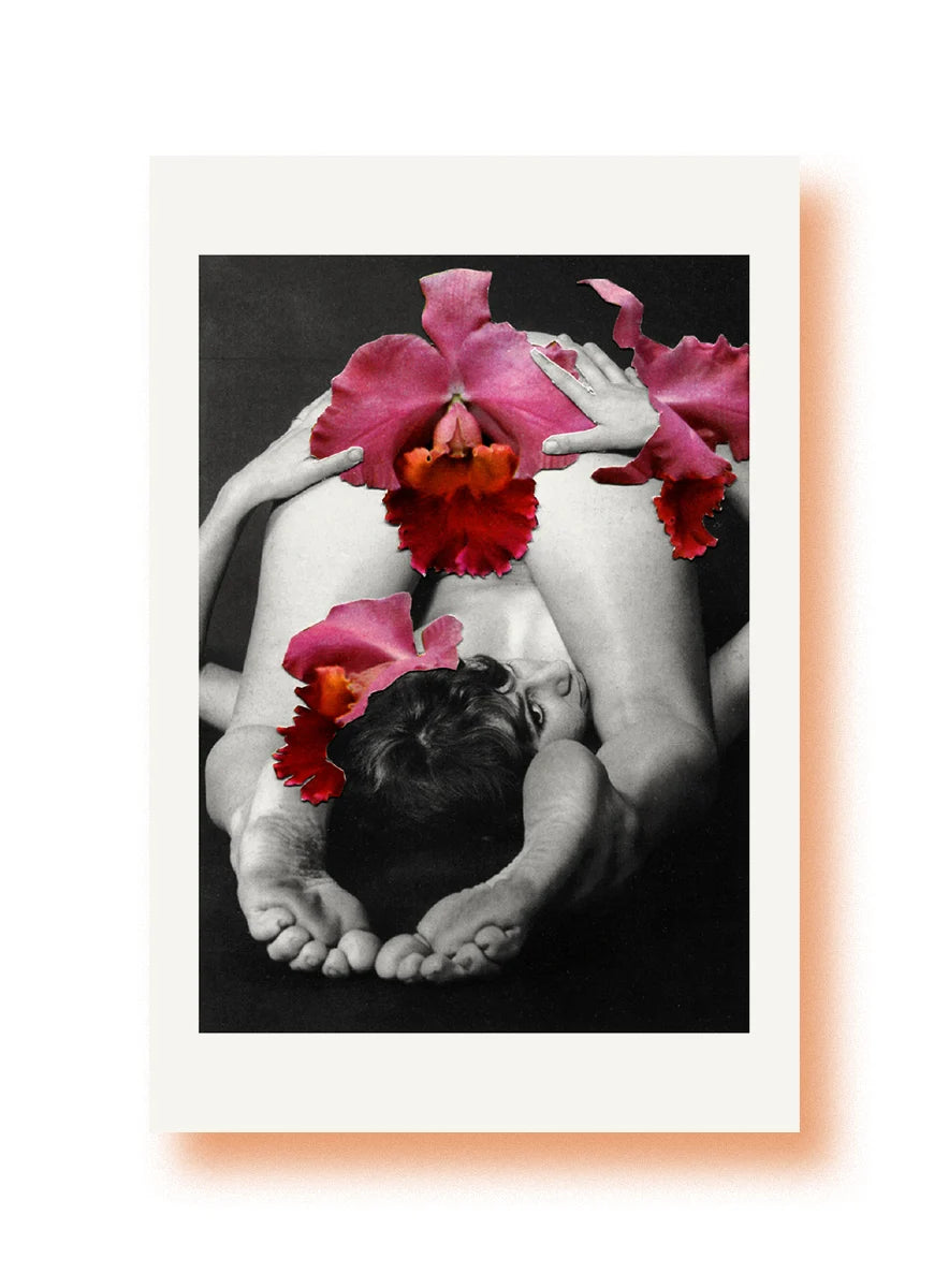 Carte Erotica Botanica ➰