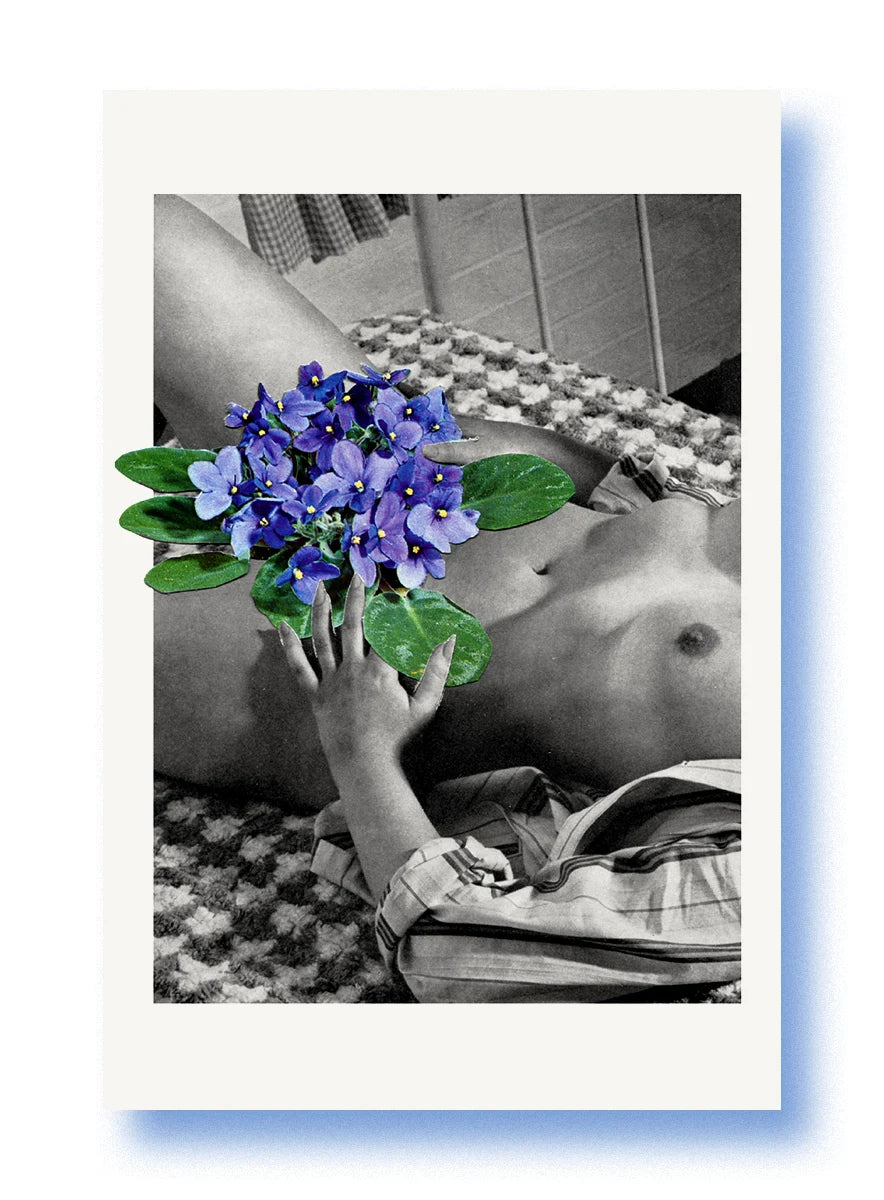 Carte Erotica Botanica ➰