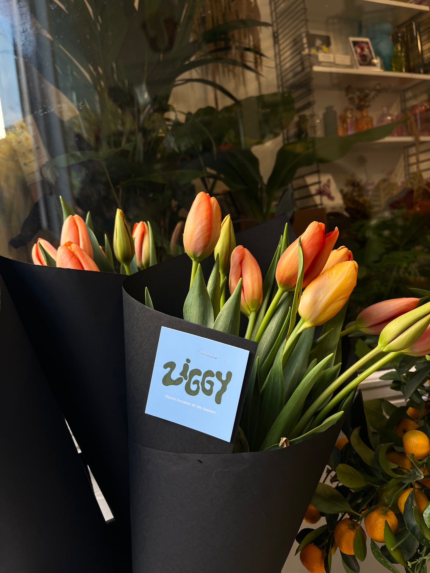 Botte de tulipes ➰