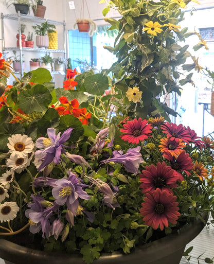 Deuil - Coupe de plantes fleuries 🕊️