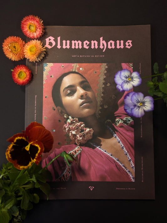 Blumenhaus Magazine ➿
