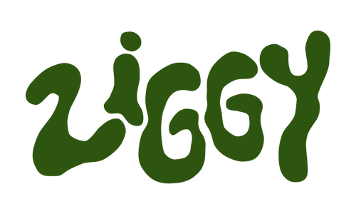 Ziggy Fleurs 